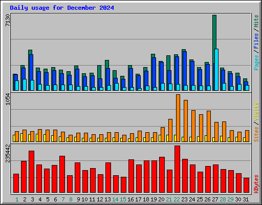 Daily usage for December 2024