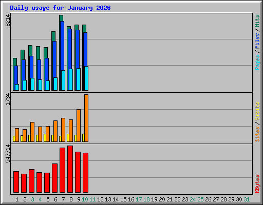 Daily usage for January 2026