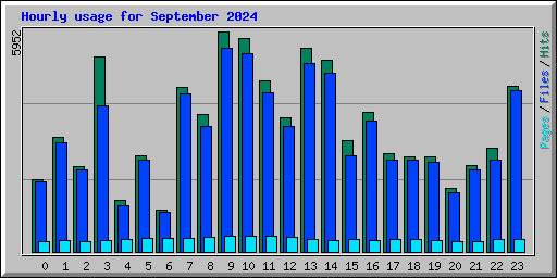 Hourly usage for September 2024