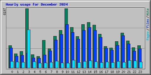Hourly usage for December 2024