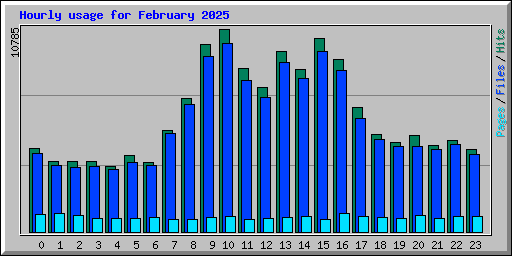 Hourly usage for February 2025
