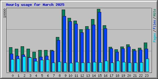 Hourly usage for March 2025