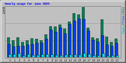 Hourly usage for June 2025