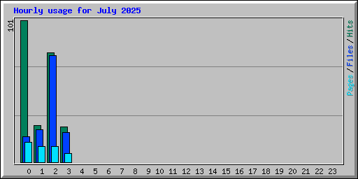 Hourly usage for July 2025