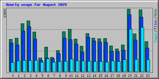 Hourly usage for August 2025