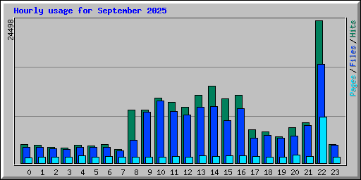 Hourly usage for September 2025