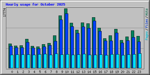 Hourly usage for October 2025