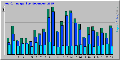 Hourly usage for December 2025
