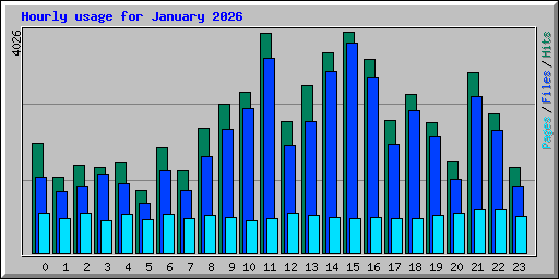 Hourly usage for January 2026